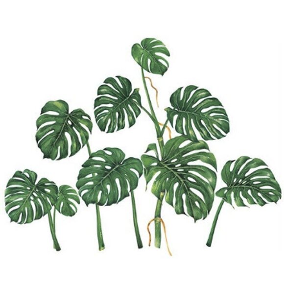 Wall Decor Mural Sticker Tropical Swiss Cheese Monstera Deliciosa Plant Design - Picture 2 of 4